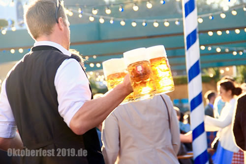 Bierpreise 2019 Was kostet Mass auf Oktoberfest? für Getränk und Oktoberfestbier